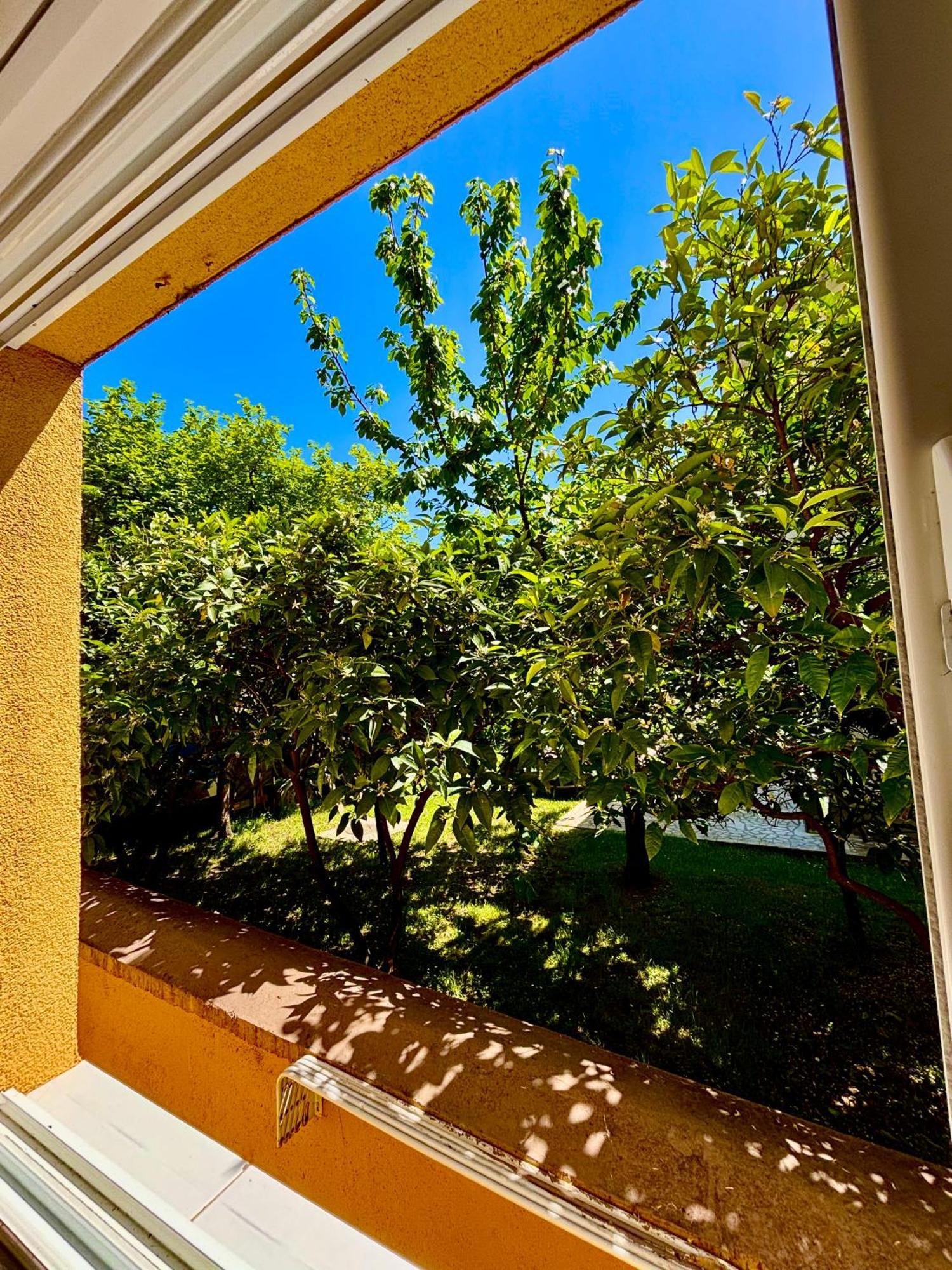 Apartments Ds Club Budva Exterior photo